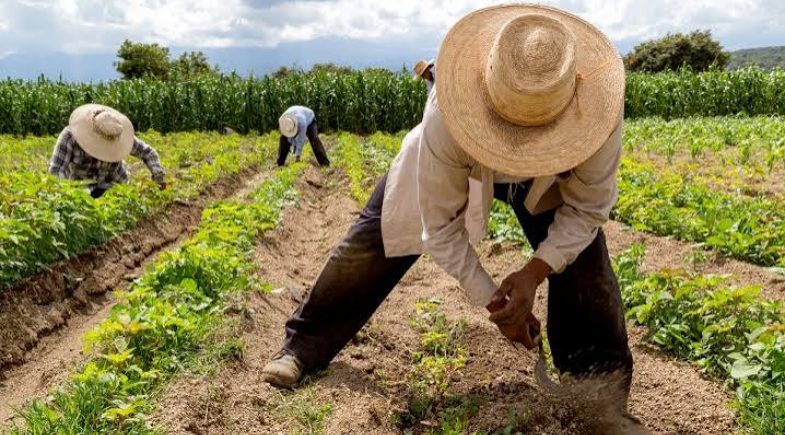 Atenção, agricultores! Ipiranga do Piauí divulga calendário do Garantia-Safra 2026/2027