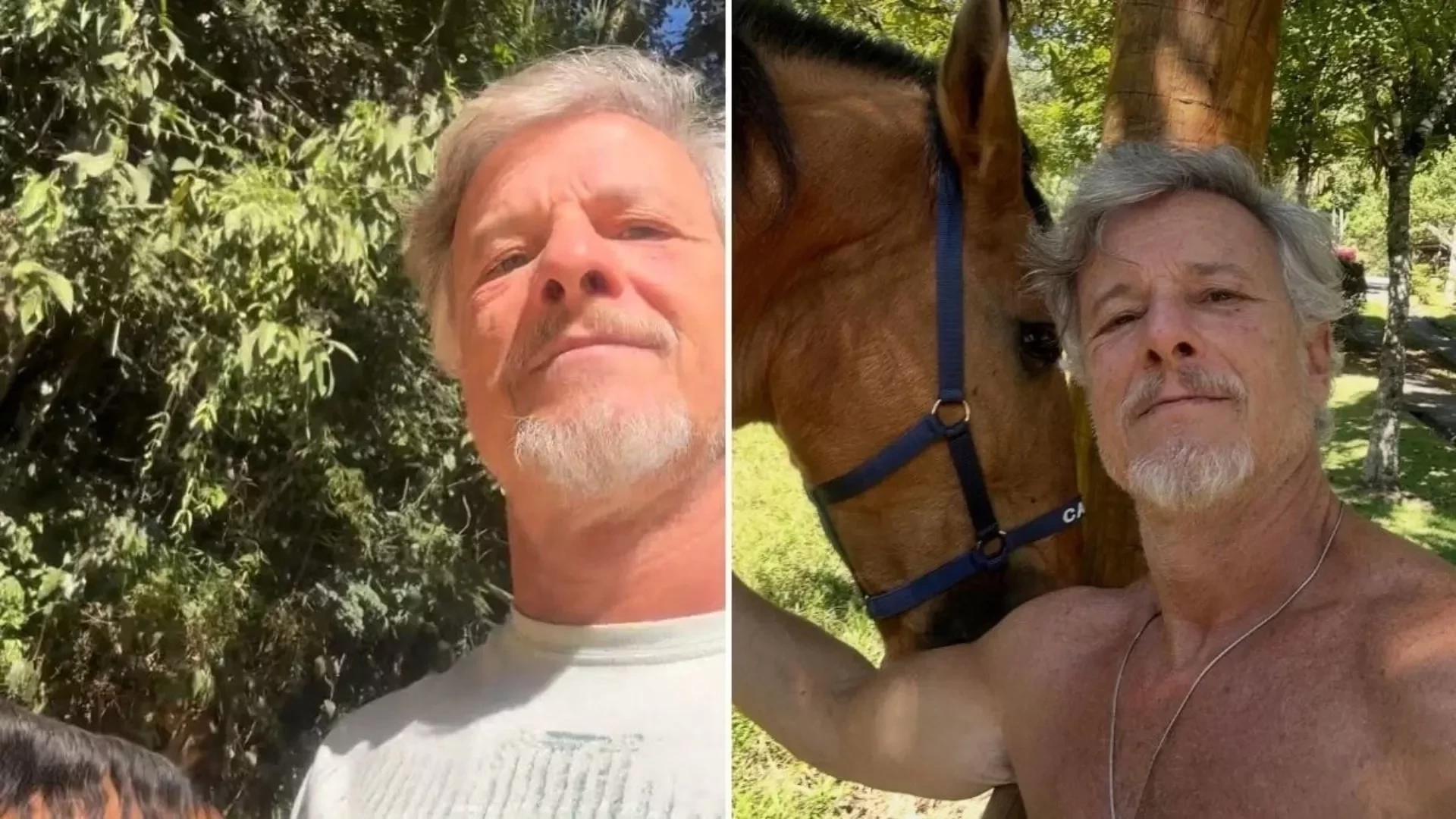 Famosos que trocaram a rotina dos grandes centros pela tranquilidade do campo - imagem 151254