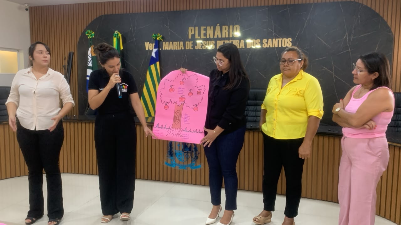 Monsenhor Gil reúne 11 municípios em encontro sobre prevenção à violência contra a mulher - Imagem 1
