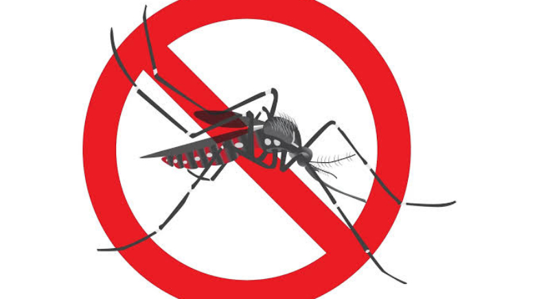 Assunção do Piauí reforça vacinação contra a dengue de crianças e adolescentes de 10 a 14 anos